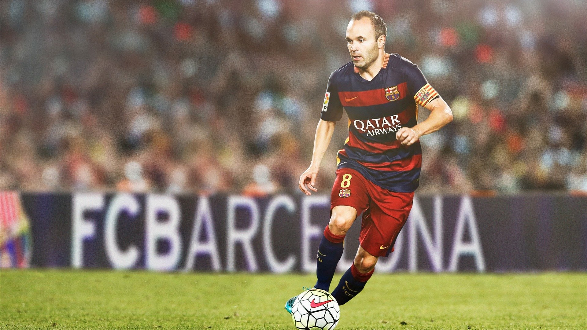 仰泳对决南非选手从容应战，仰泳冠军视频