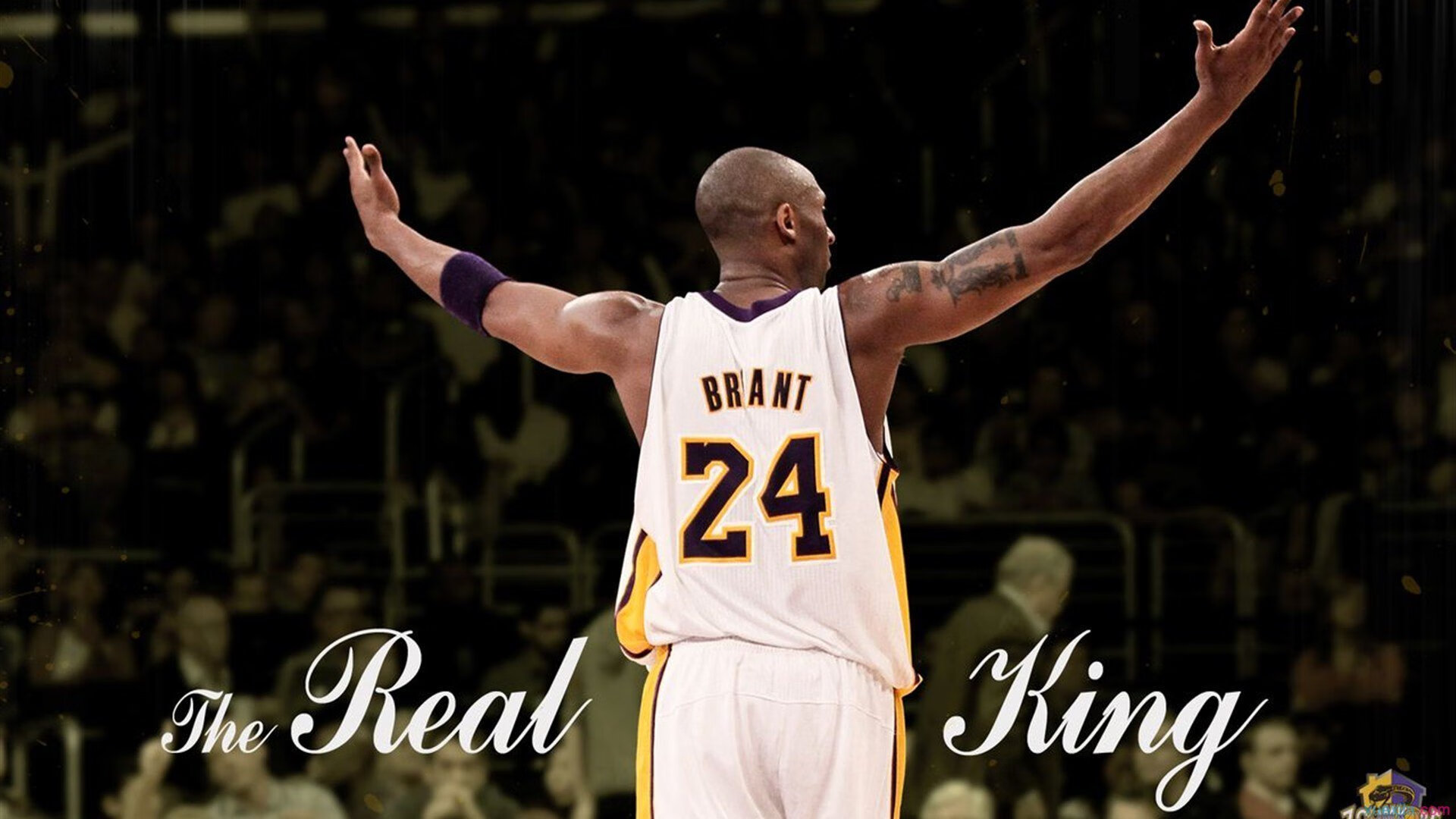 爱游戏全站-伯科夫泳姿优雅，动作精准，伯纳科夫